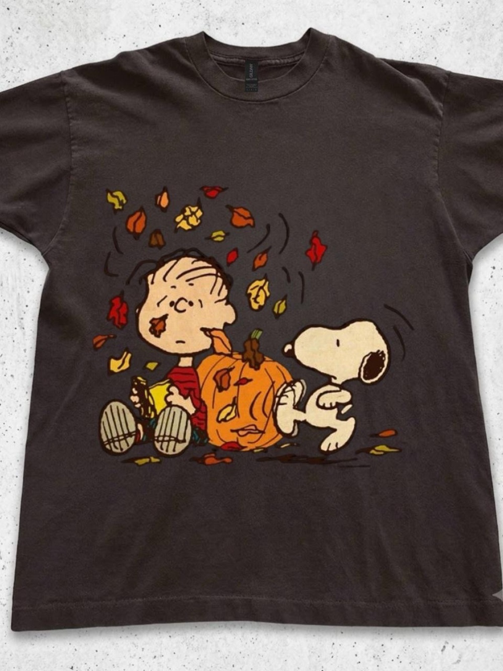 Gildan Brown Peanuts Snoopy & Linus Pumpkin Graphic Tee